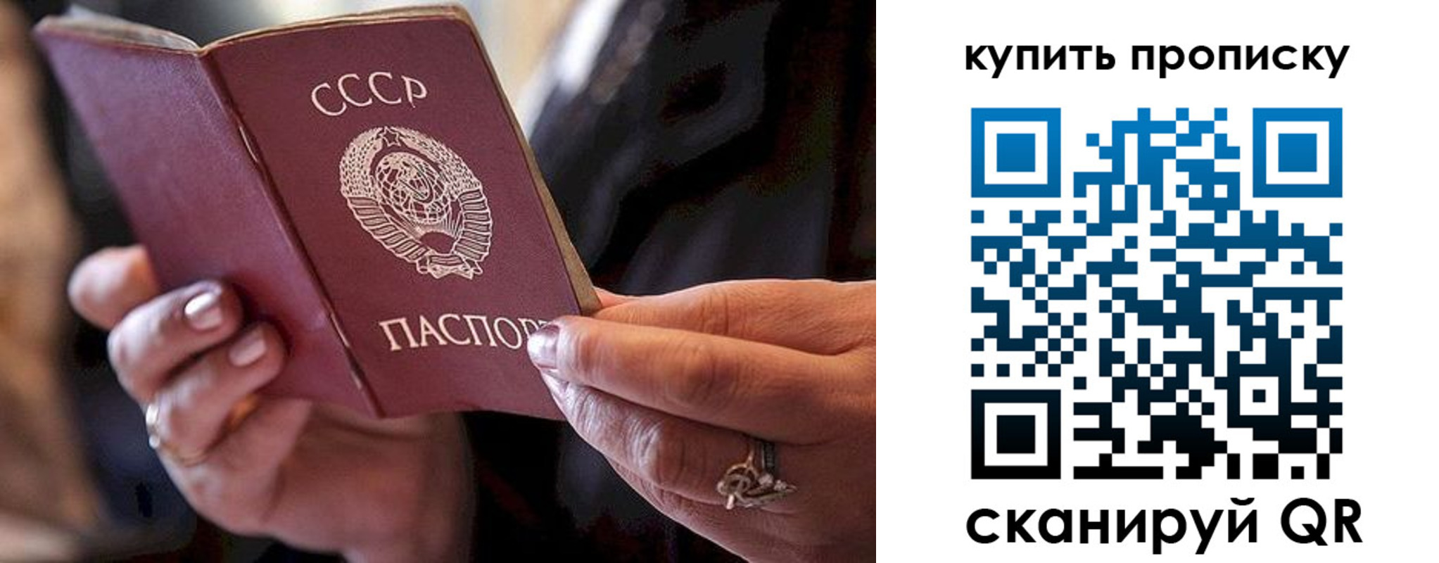 прописка в квартире в Фрязино
